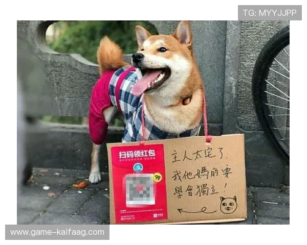 探索凯发app官方网站的最新优惠活动与促销信息