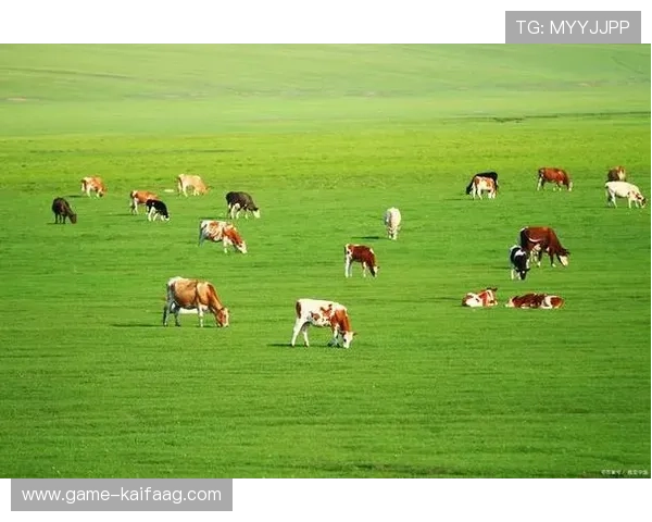 牛牛的生态保护与可持续发展策略探讨